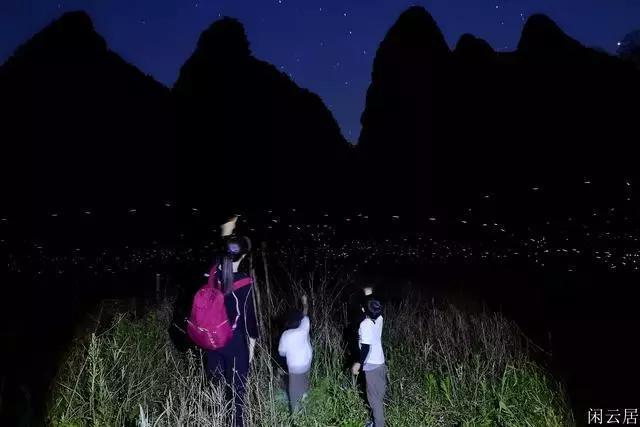 救援受困的火鸡